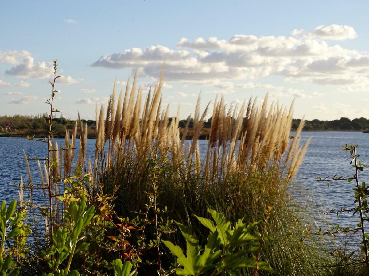Les Rives Du Lac Le Grau-du-Roi Luaran gambar